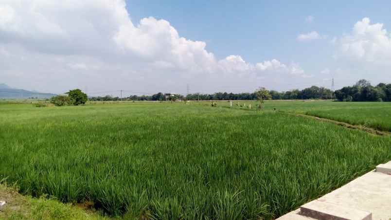 dijual tanah dekat itb arjawinangun