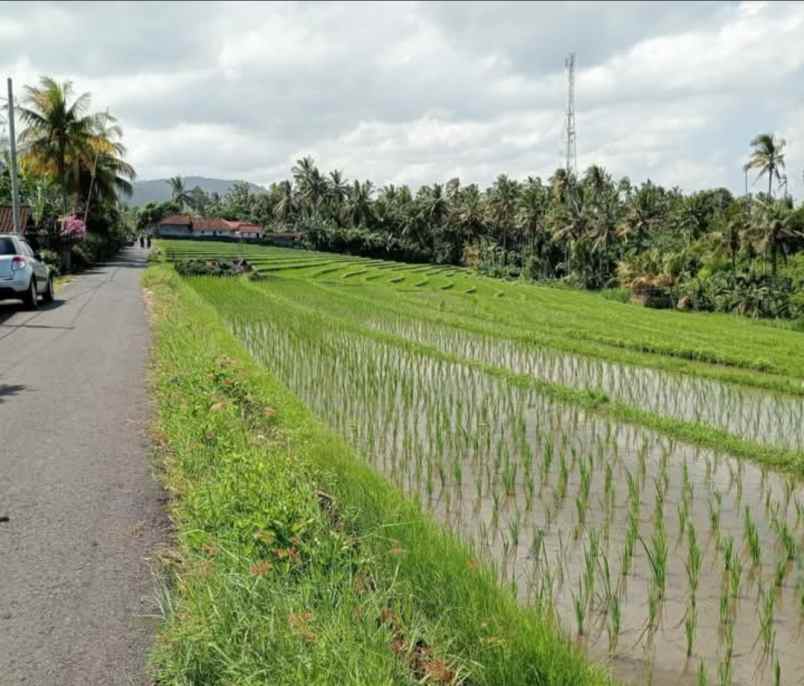 dijual tanah desa lalanglingah kec
