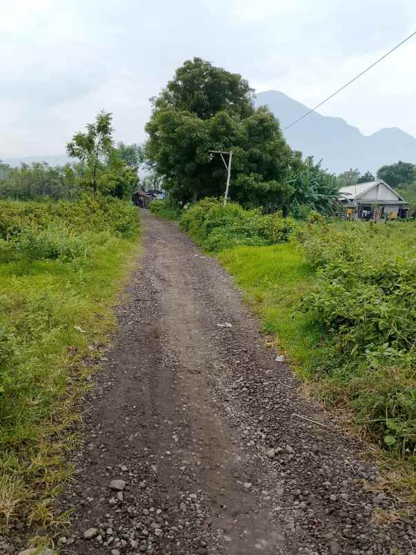 dijual tanah di desa manduro kec ngoro kab mojokerto