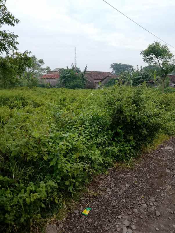 dijual tanah di desa manduro kec ngoro kab mojokerto