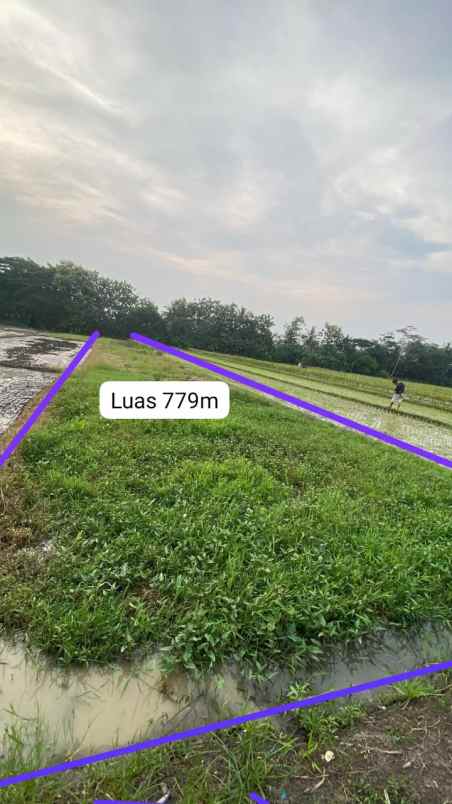 dijual tanah di sidorejo godean sleman