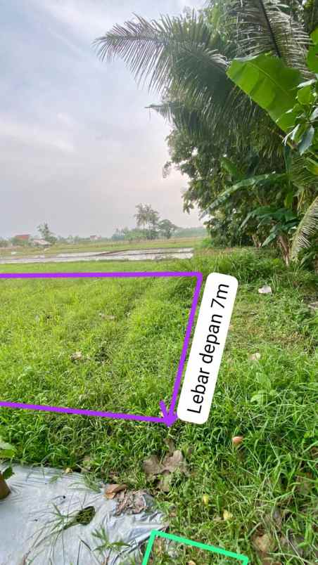dijual tanah di sidorejo godean sleman