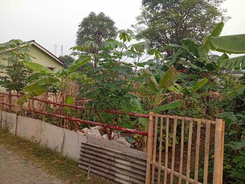 dijual tanah dijual tanah di daerah