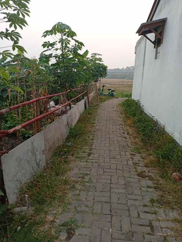dijual tanah dijual tanah di daerah