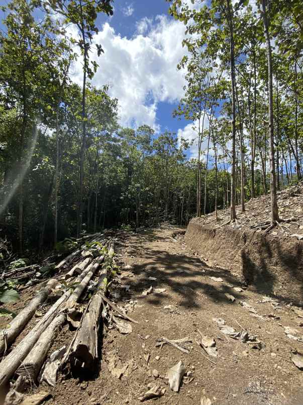 dijual tanah dusun tiu gali rt02 rw01