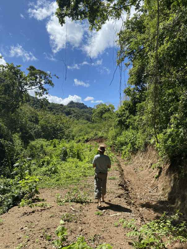 dijual tanah dusun tiu gali rt02 rw01