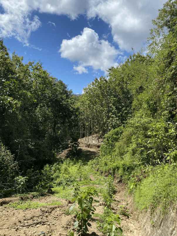 dijual tanah dusun tiu gali rt02 rw01