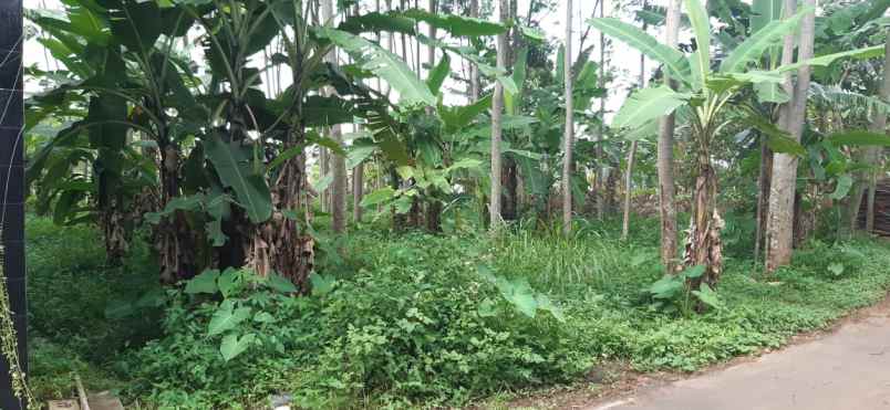 dijual tanah gedanganak