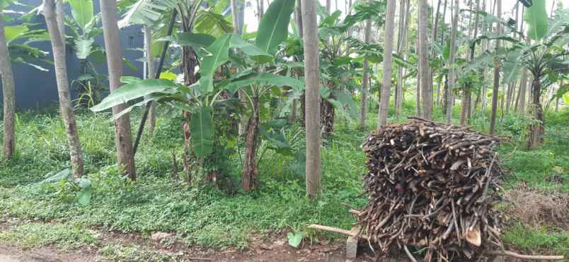 dijual tanah gedanganak