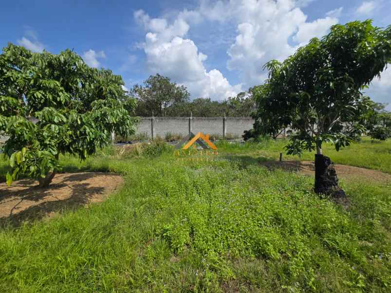 dijual tanah jalan lintas sumatera langkat