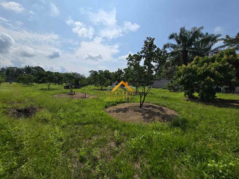 dijual tanah jalan lintas sumatera langkat