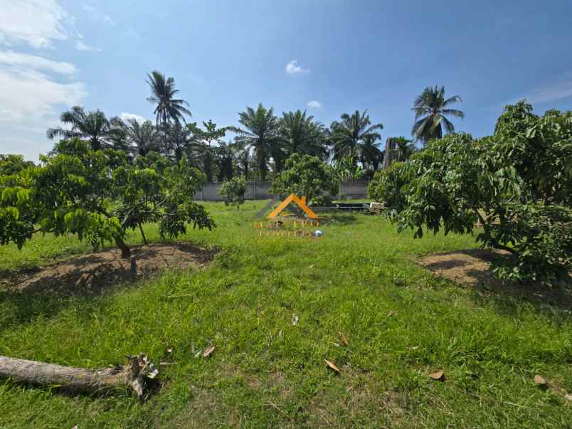 dijual tanah jalan lintas sumatera langkat