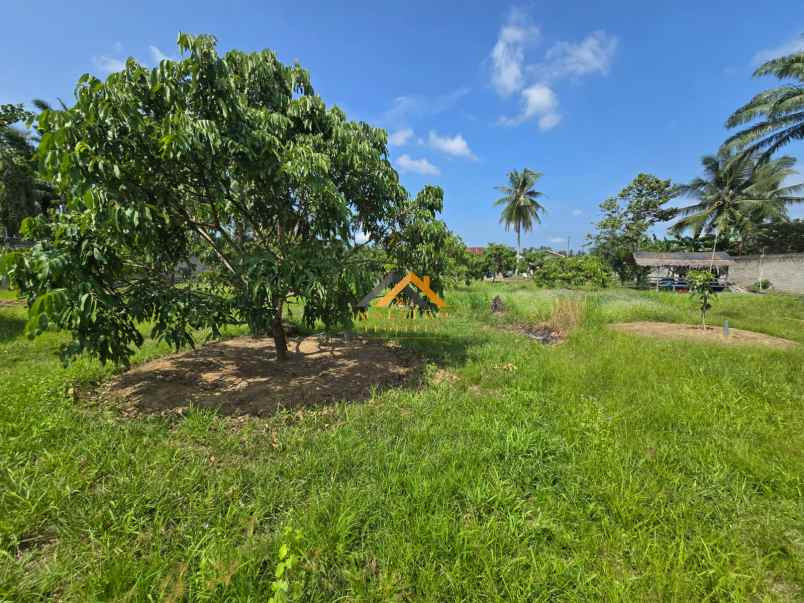 dijual tanah jalan lintas sumatera langkat