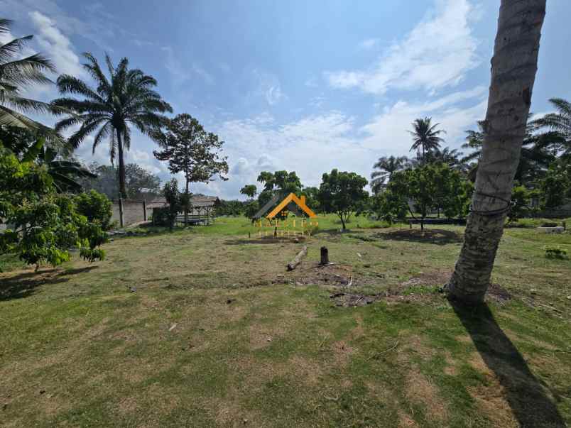 dijual tanah jalan lintas sumatera langkat