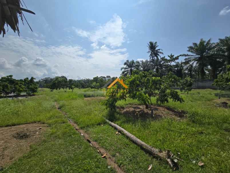 dijual tanah jalan lintas sumatera langkat