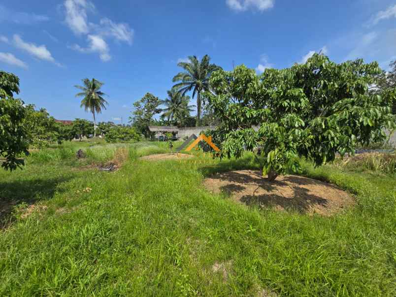 dijual tanah jalan lintas sumatera langkat