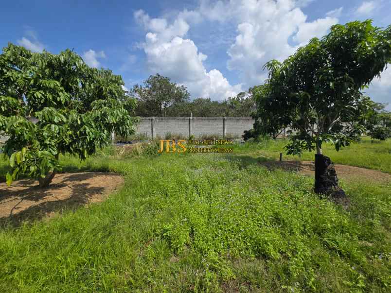 dijual tanah jalan lintas sumatera langkat