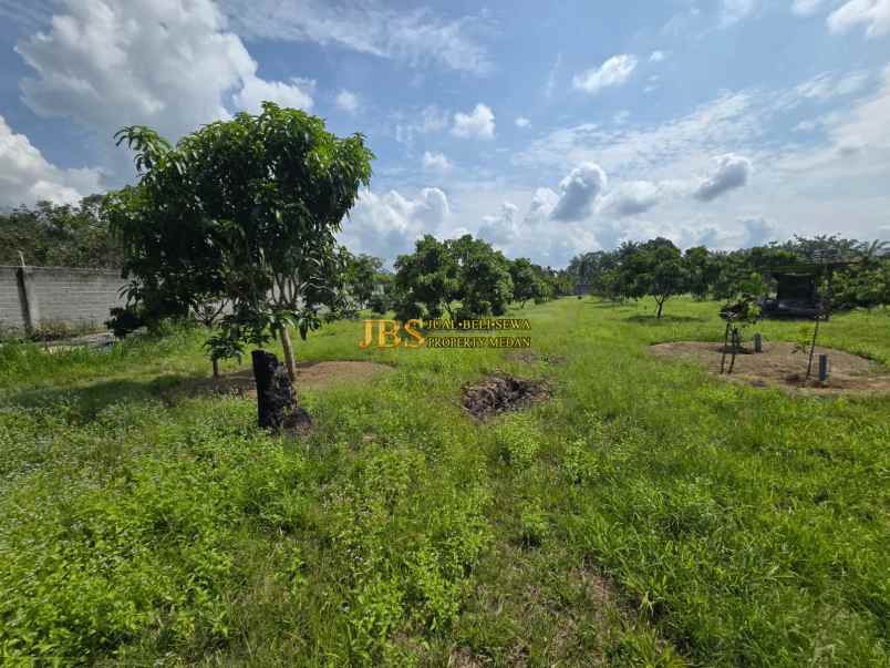 dijual tanah jalan lintas sumatera langkat