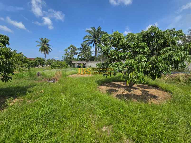 dijual tanah jalan lintas sumatera langkat