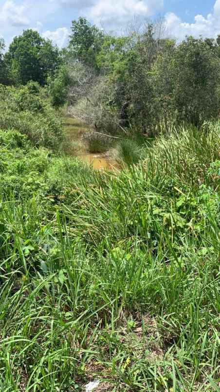 dijual tanah jalan raya lintas sumatera