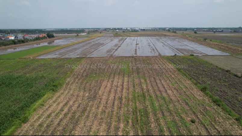 dijual tanah jalan raya mojoagung