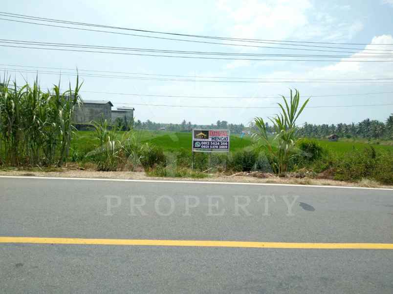 dijual tanah jalan sungai bakau besar