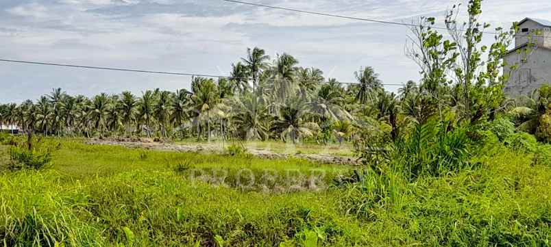 dijual tanah jalan sungai bakau besar