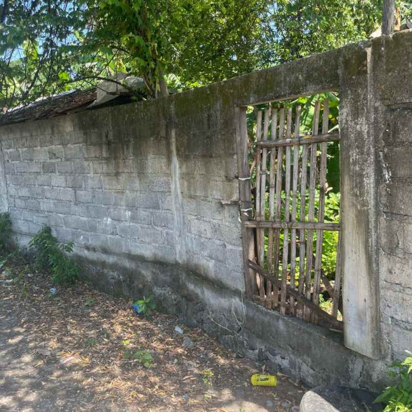 dijual tanah jl buana raya buana mekar