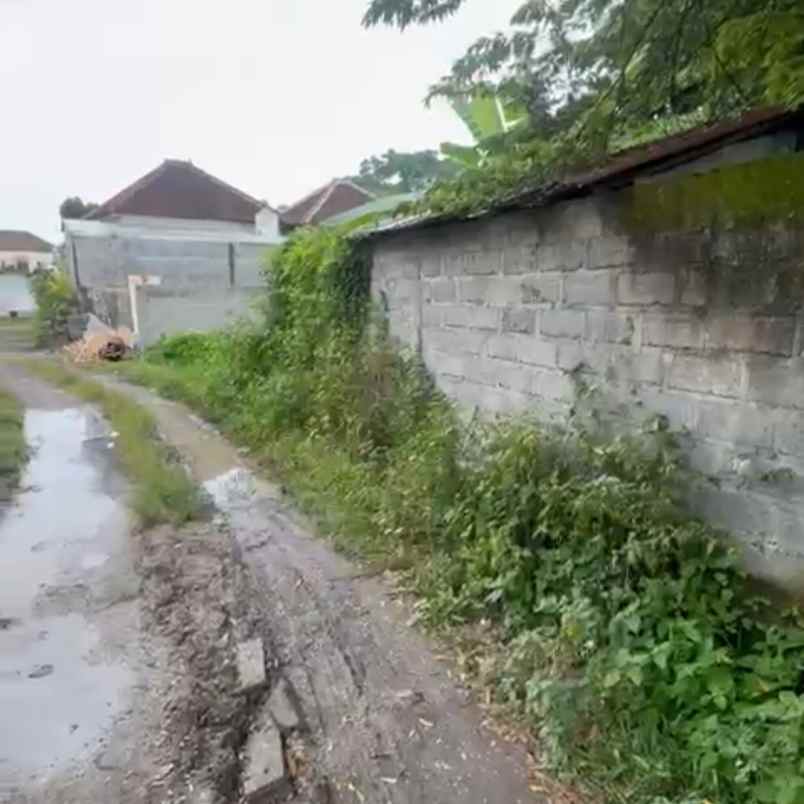 dijual tanah jl buana raya buana mekar