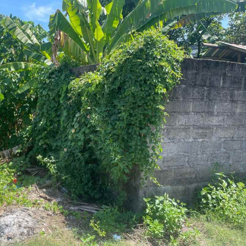 dijual tanah jl buana raya buana mekar