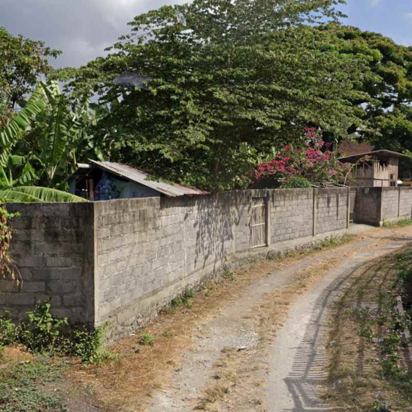 dijual tanah jl buana raya buana mekar