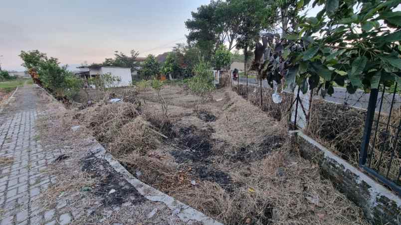 dijual tanah jl kamboja