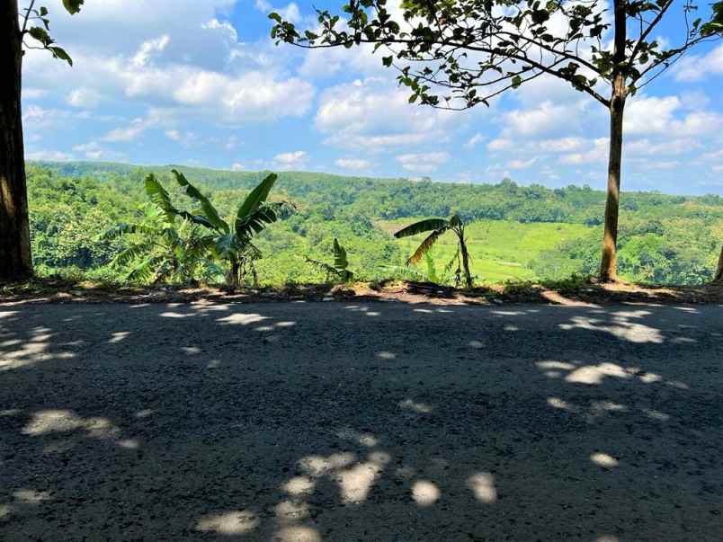 dijual tanah jl raya kerjo ngargoyoso