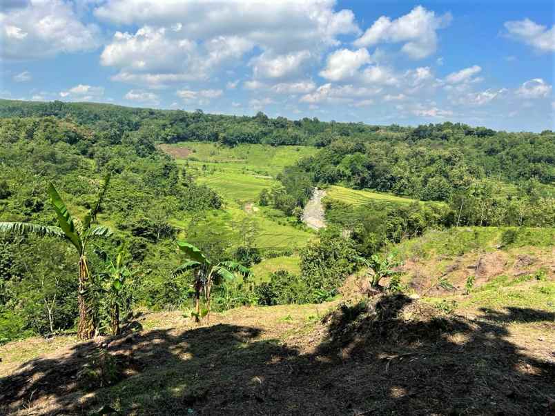 dijual tanah jl raya kerjo ngargoyoso