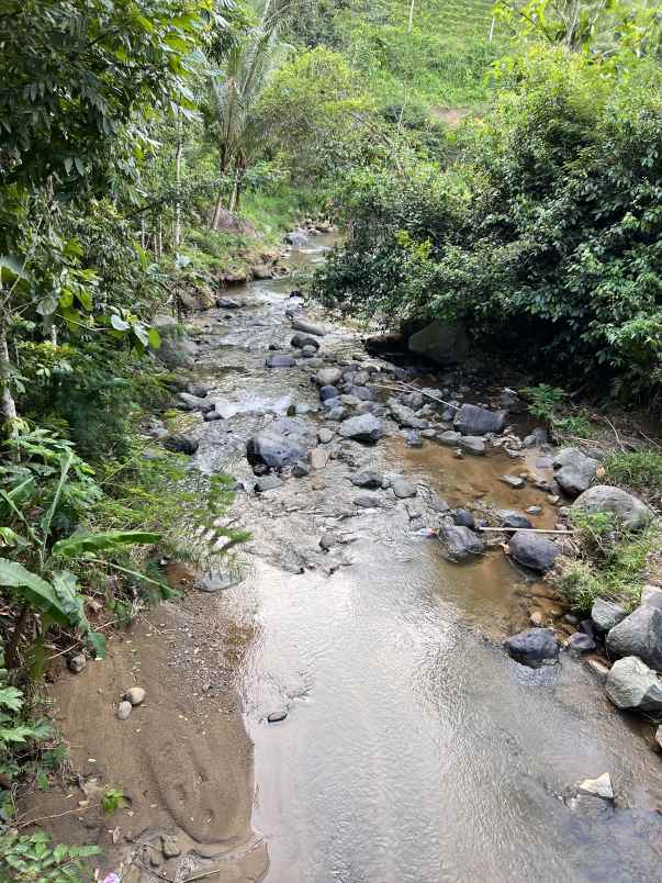 dijual tanah jl raya kerjo ngargoyoso