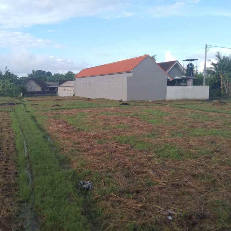 dijual tanah jl raya sempidi