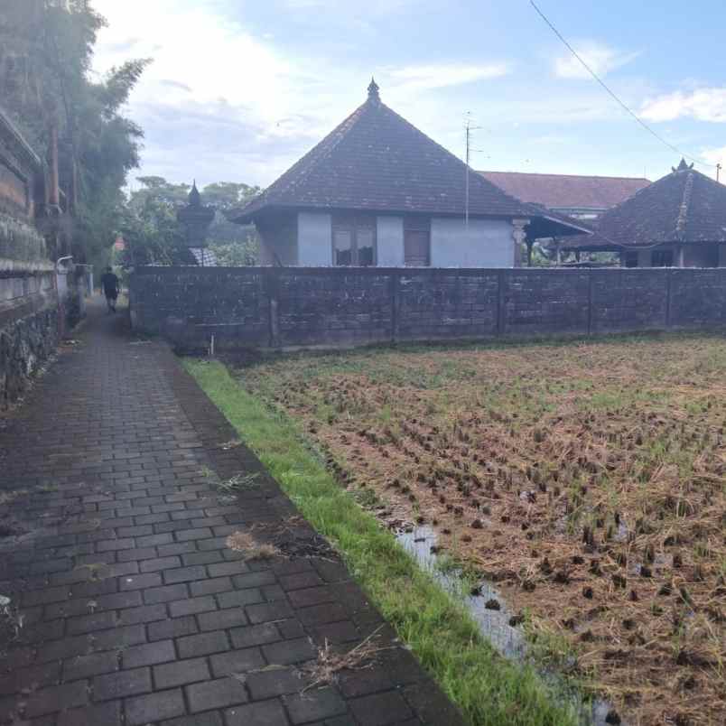 dijual tanah jl raya sempidi