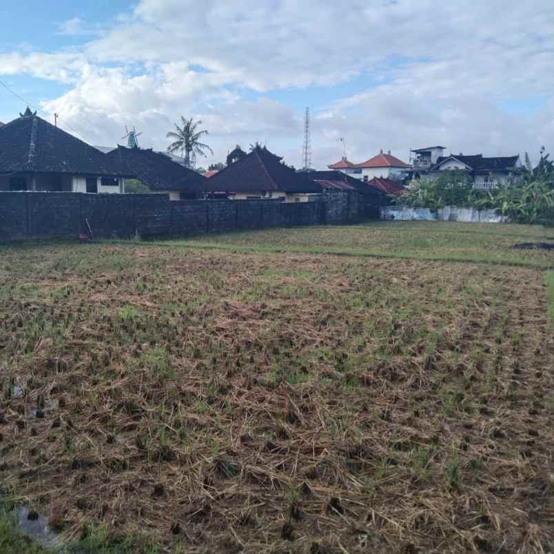 dijual tanah jl raya sempidi