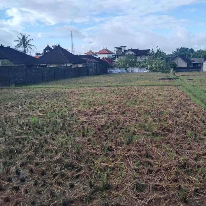 dijual tanah jl raya sempidi