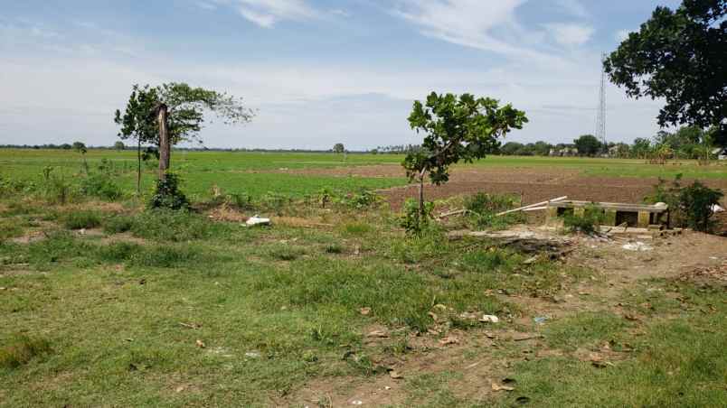 dijual tanah jl raya sukatenang