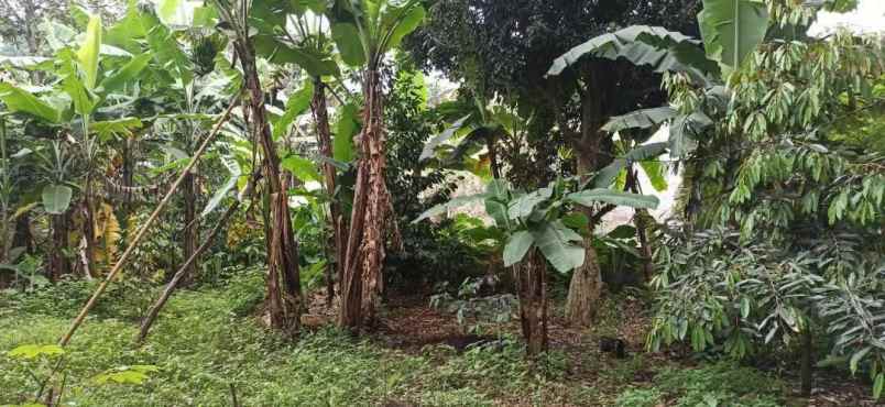 dijual tanah jl sari endah baru