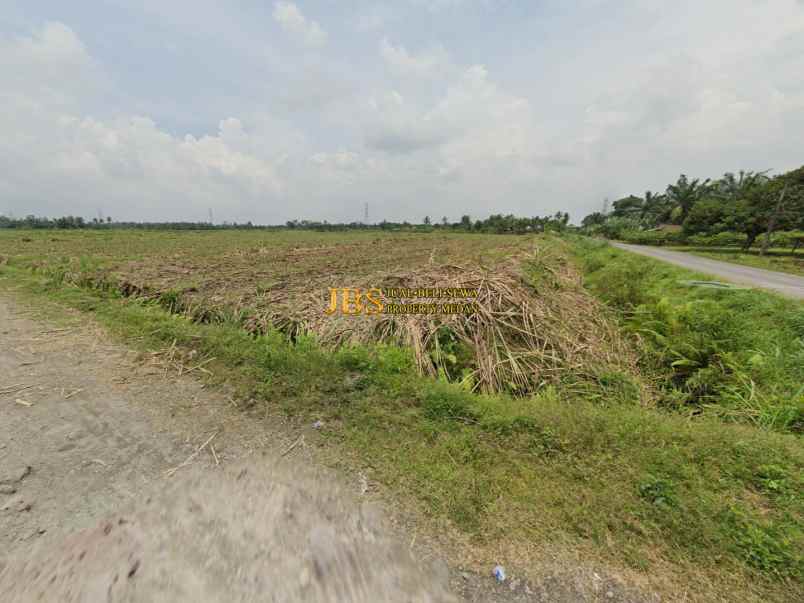 dijual tanah jl smk 1 jl macan dekat jl