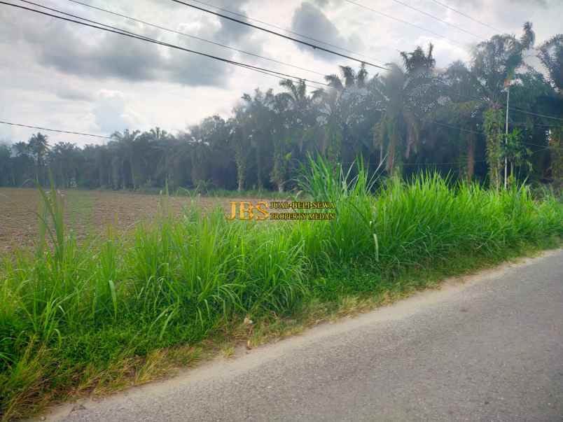 dijual tanah jl smk 1 jl macan dekat jl