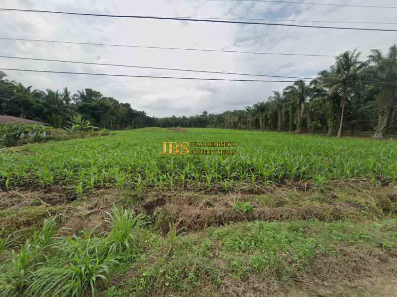 dijual tanah jl smk 1 jl macan dekat jl