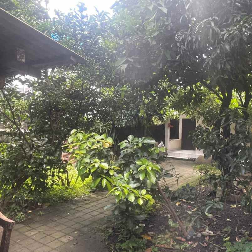 dijual tanah jln soka