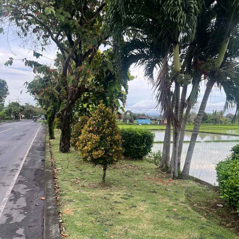 dijual tanah kaliakah