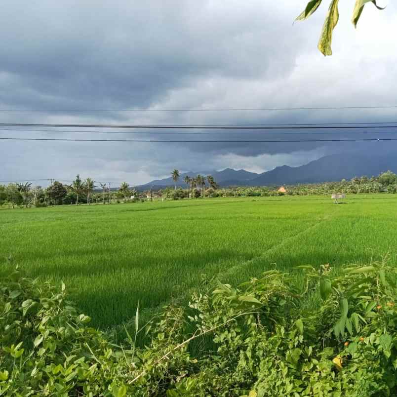 dijual tanah kaliakah