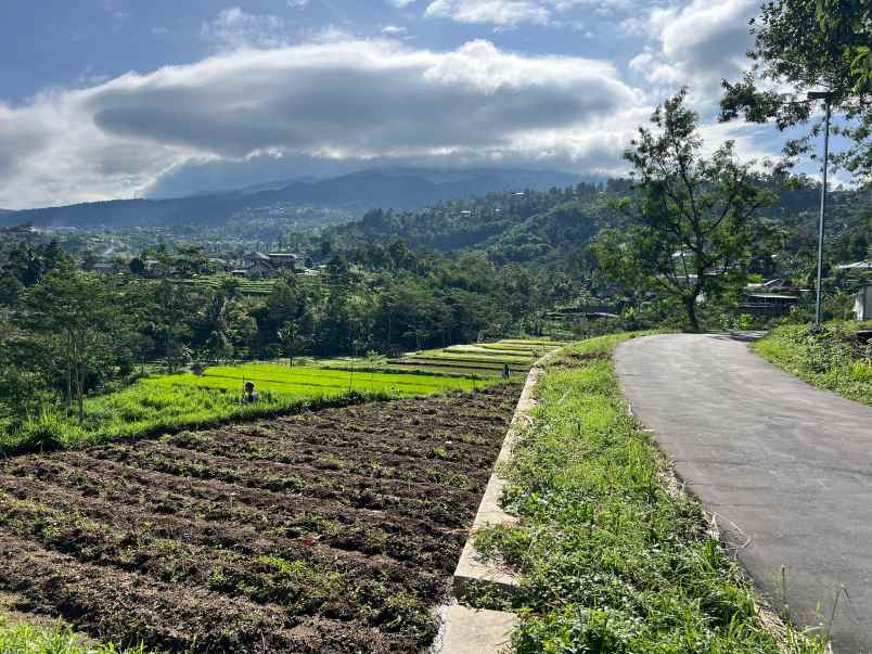 dijual tanah karangpandan karanganyar