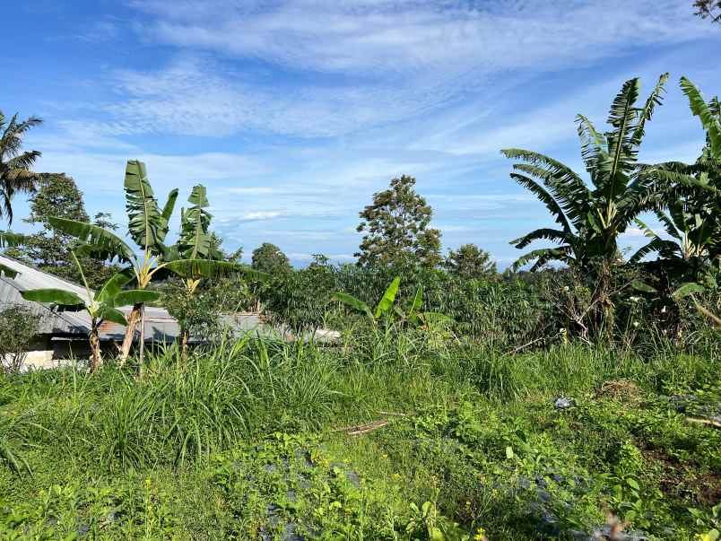 dijual tanah karangpandan karanganyar solo