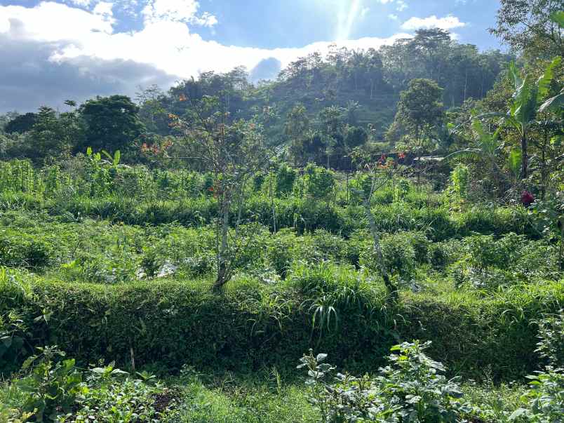 dijual tanah karangpandan karanganyar solo